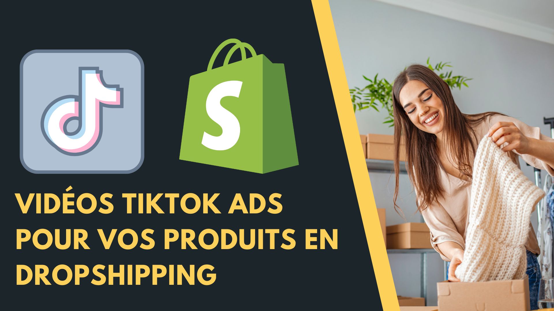 idéos TikTok Ads dropshipping